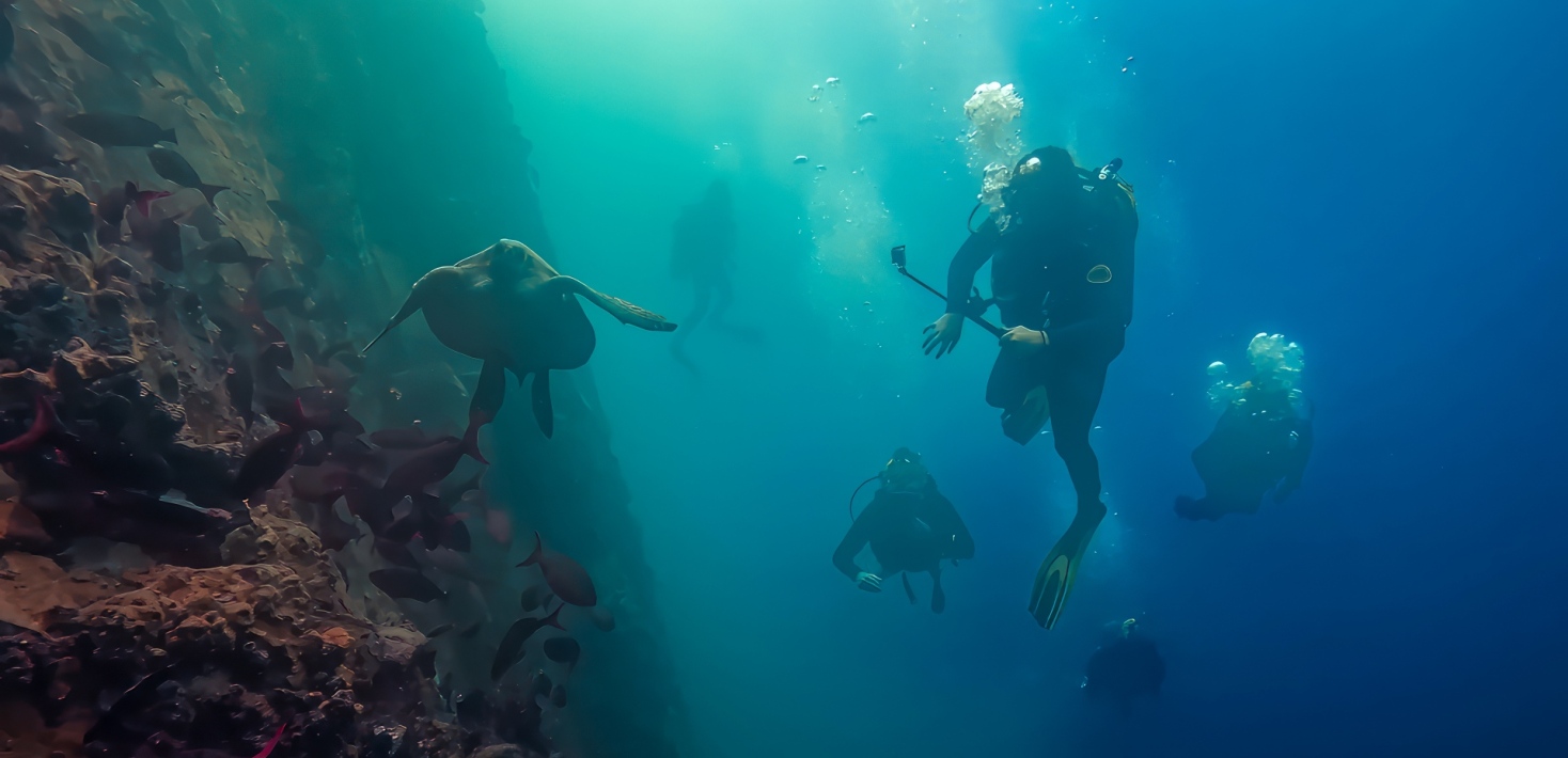 Marinbiologi
